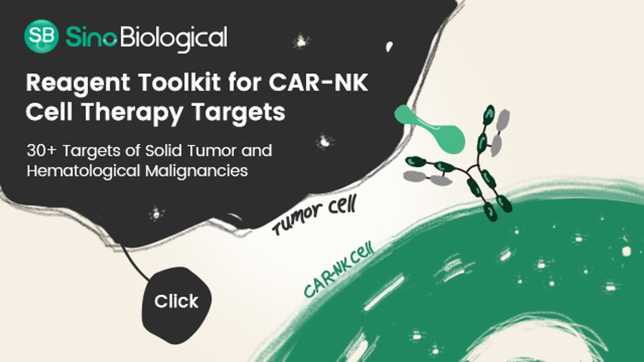 Therapeutic Targets in CAR NK-Cell Therapy