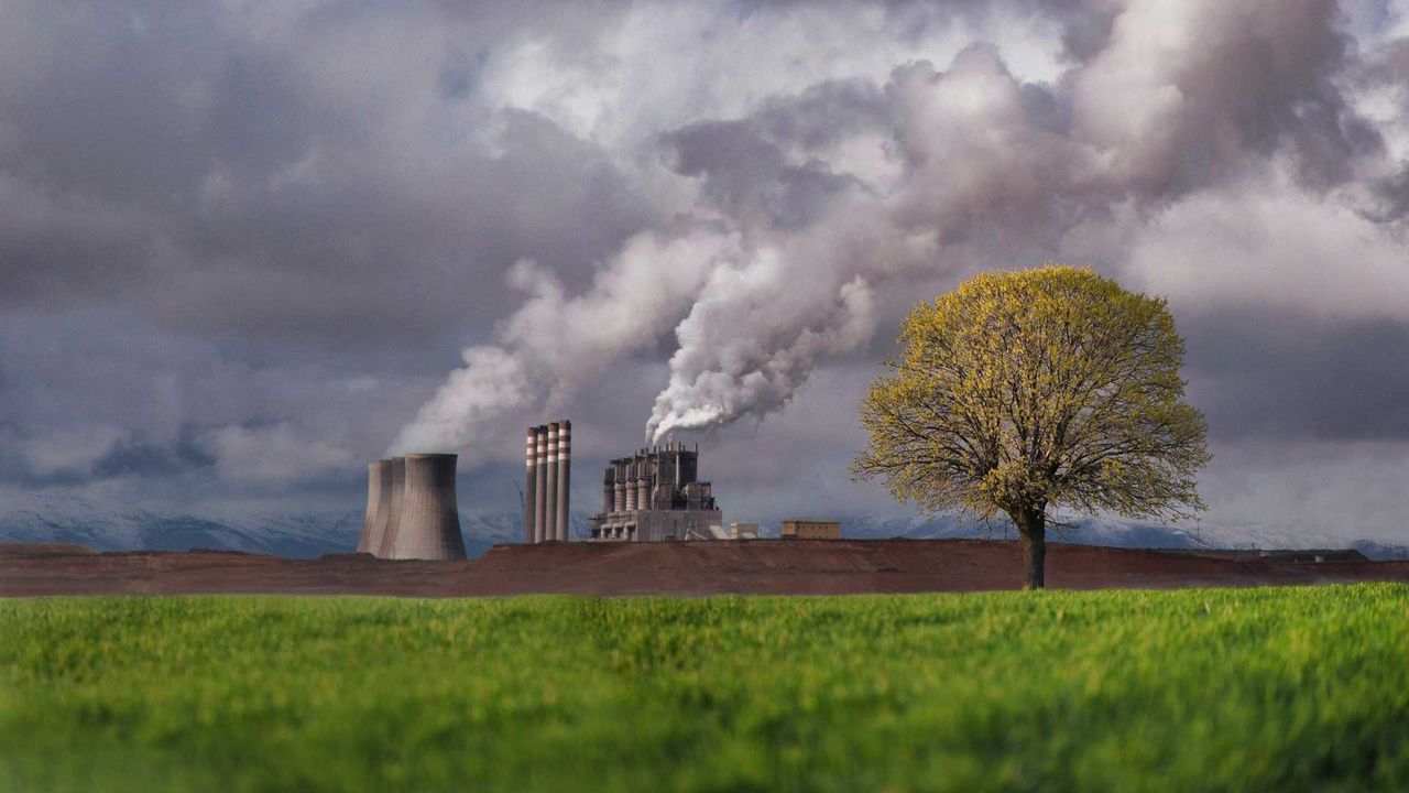 Reduced Air Pollution Leads to Higher Crop Yields