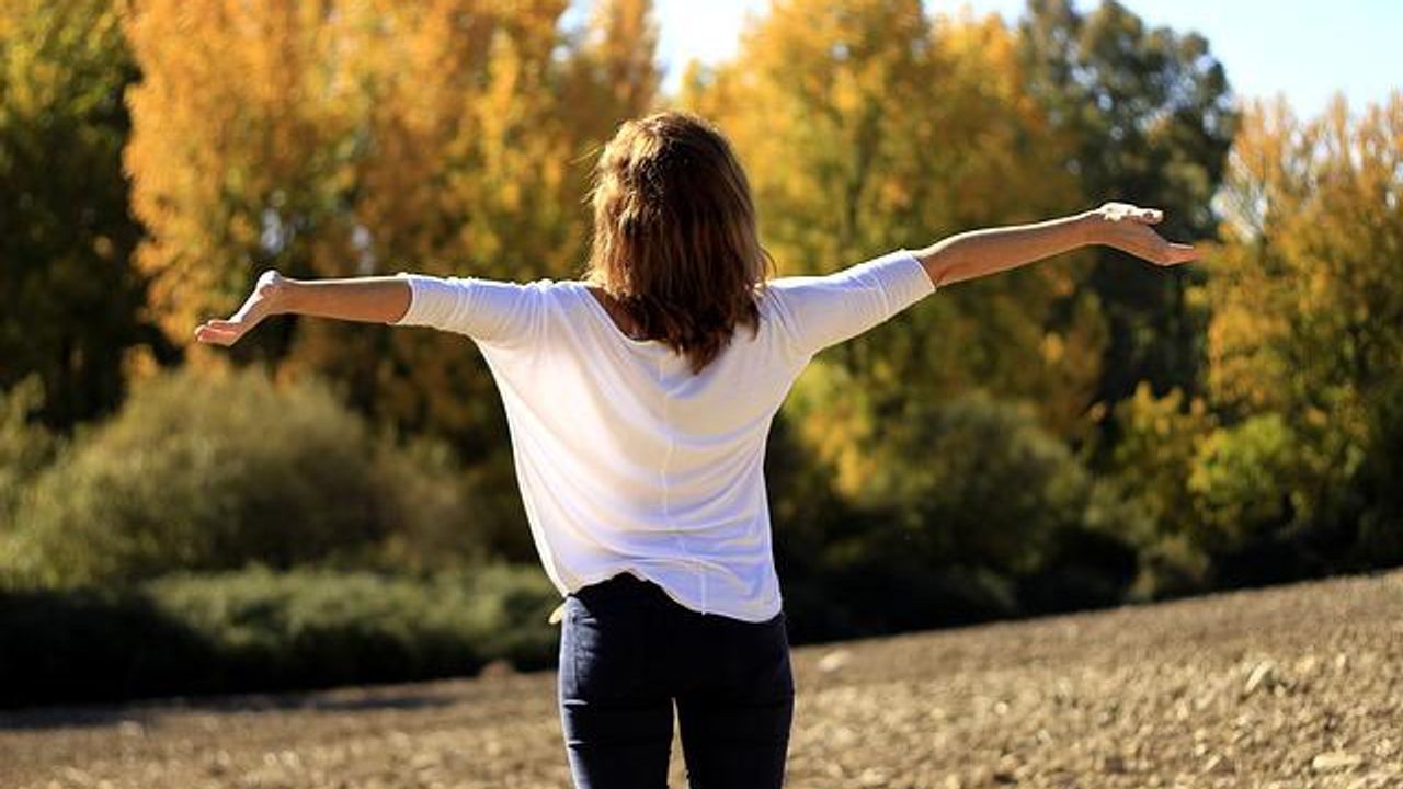 Air Pollution a Key Factor in Inflammatory Arthritis Development
