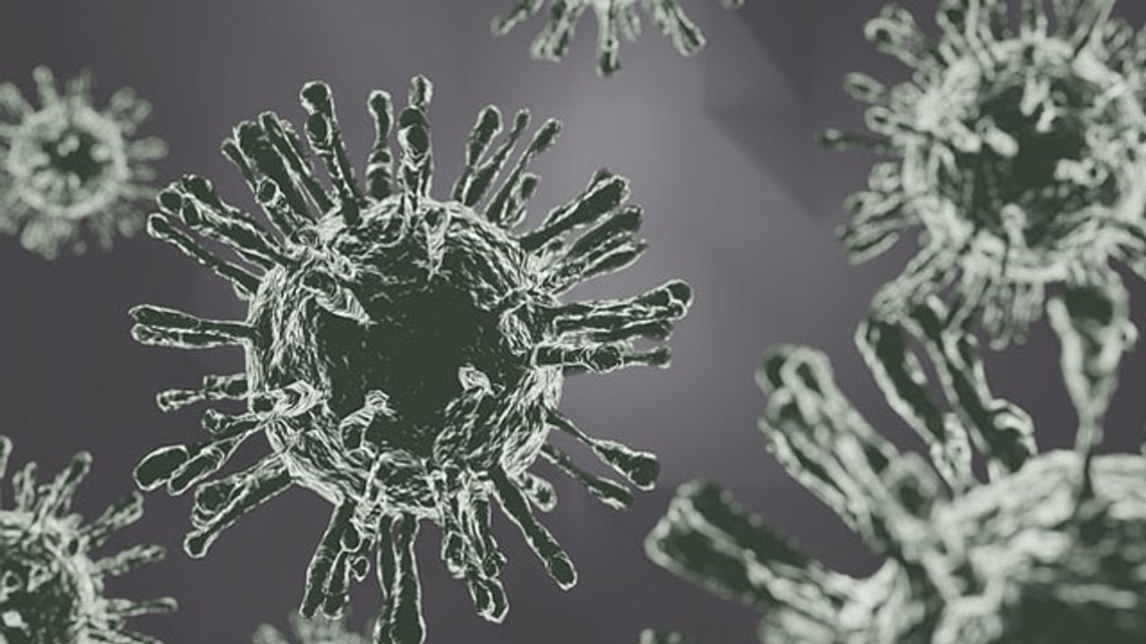 Fluorogenic Probe Can Rapidly Detect Influenza A Virus