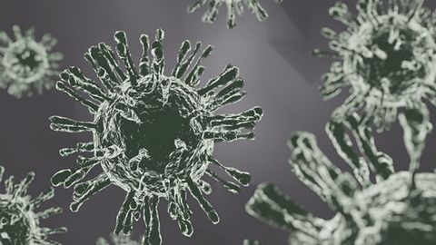 Fluorogenic Probe Can Rapidly Detect Influenza A Virus