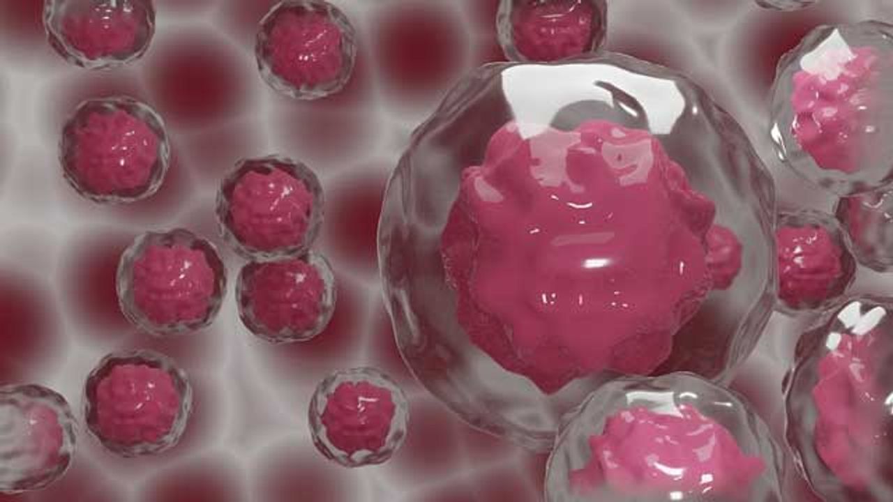 New Technology Protects Authenticity of Engineered Cell Lines