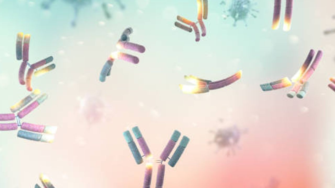 Respiratory Syncytial Virus Antigens and Antibodies