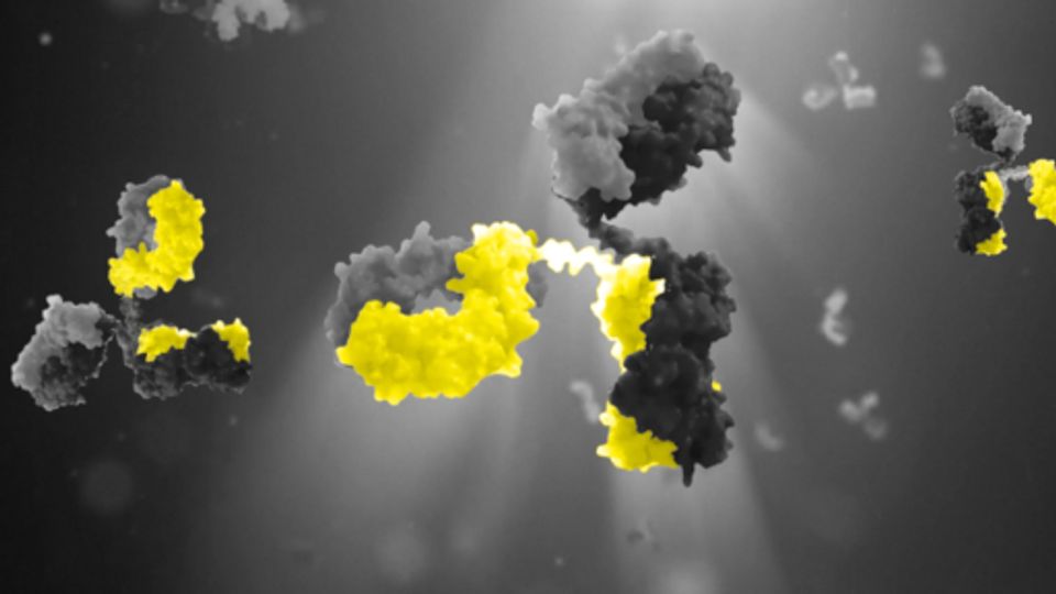 mAb Quantitation: Protein A HPLC vs Protein A Bio-Layer Interferometry content piece image