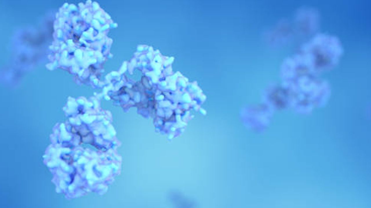 Controlling the Half-Life of Pathological IgG and Therapeutic Antibodies