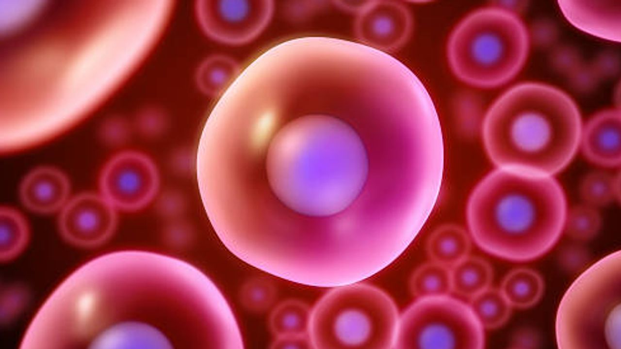 From Mammalian Cell Cultures to Pure Proteins: Reduce Your Cell Harvest Time