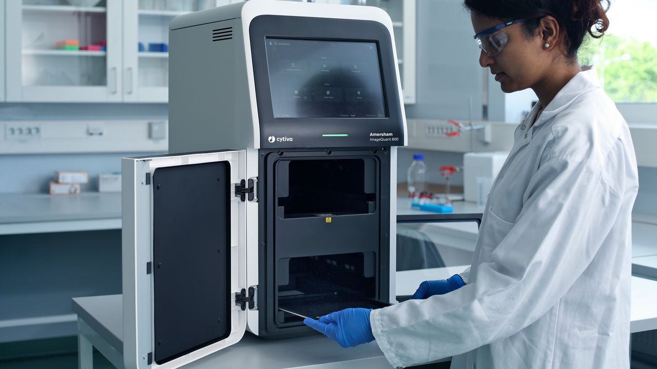 ImageQuant™ Western Blot Imaging Systems