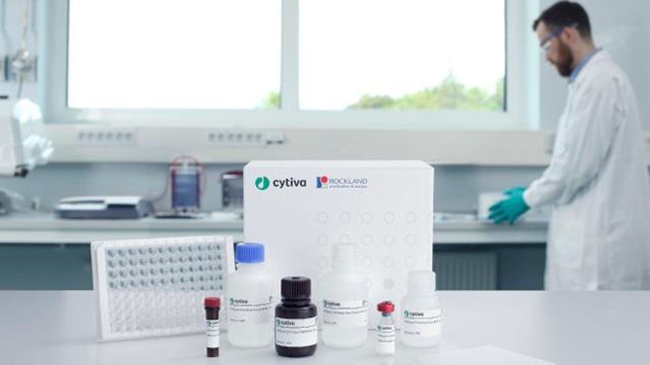 CHO Host Cell Protein – HCPQuant ELISA Kit