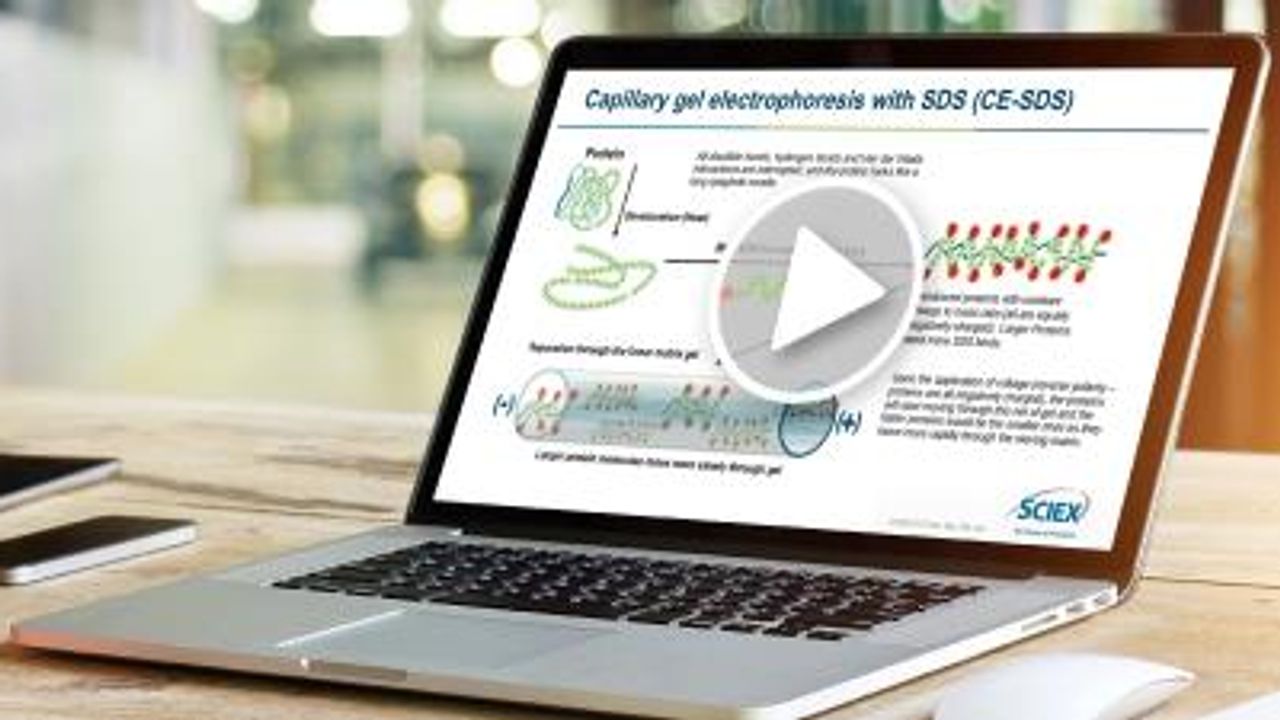 Influenza Vaccine Viral Protein Profiling for Viral Potency