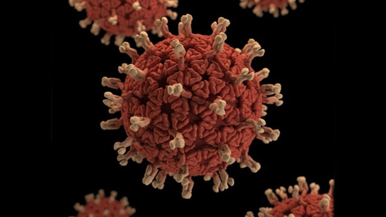 Never-Before Described Structure of Rotavirus Spike Protein Revealed