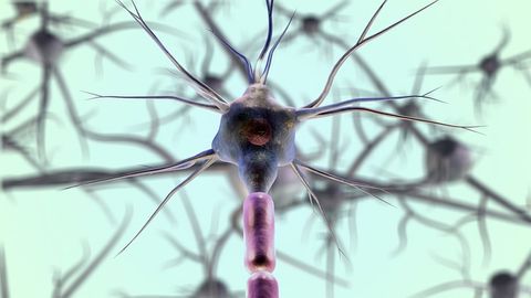 New Candidate Target for Parkinson’s Disease Treatment