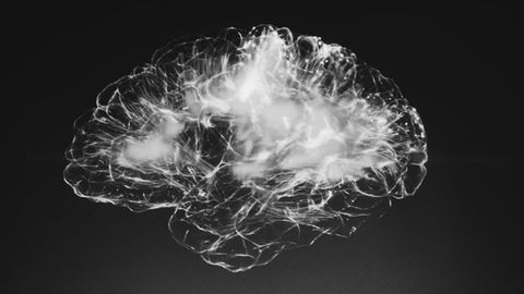 New Brain-Permeable Drug Targets Melanoma Brain Metastases