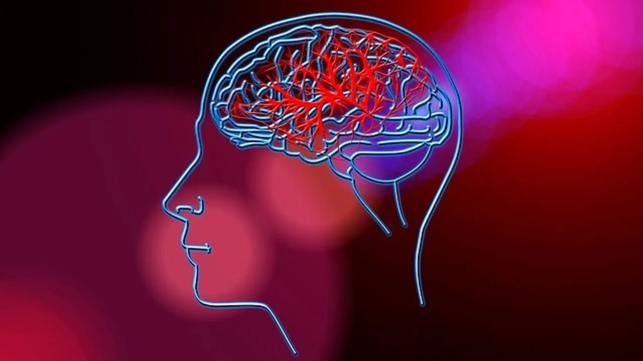 Recurring Brain Tumors Evolve in Response to Microenvironment