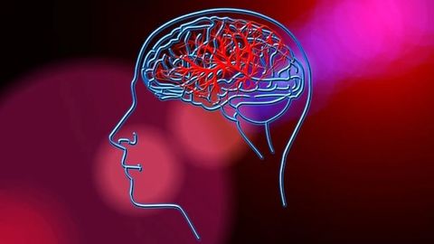 Recurring Brain Tumors Evolve in Response to Microenvironment