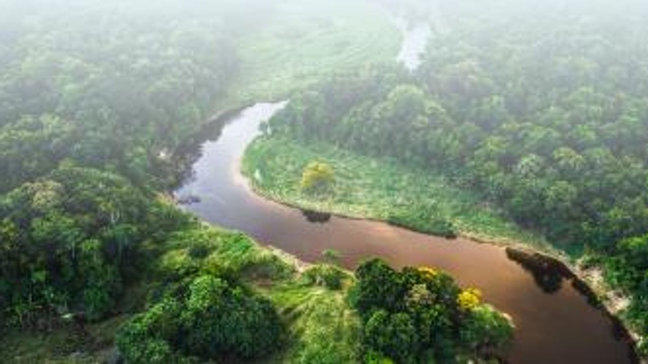 PFAS Testing: Overcoming Challenges and Meeting Regulatory Requirements