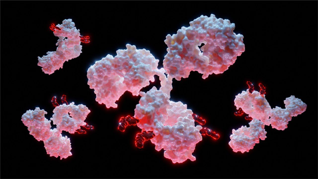 Host Cell Protein Analysis: From Process to Advances to Future