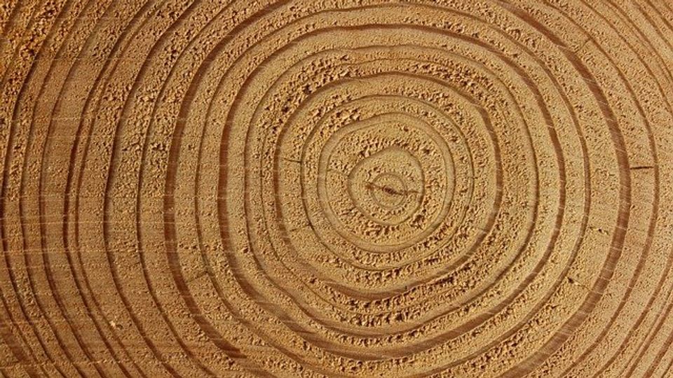 Easily Degradable Plastic Created That's Based on Vanillin content piece image