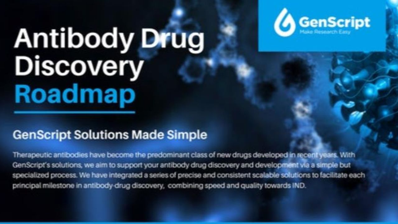 A Roadmap to Antibody Drug Discovery