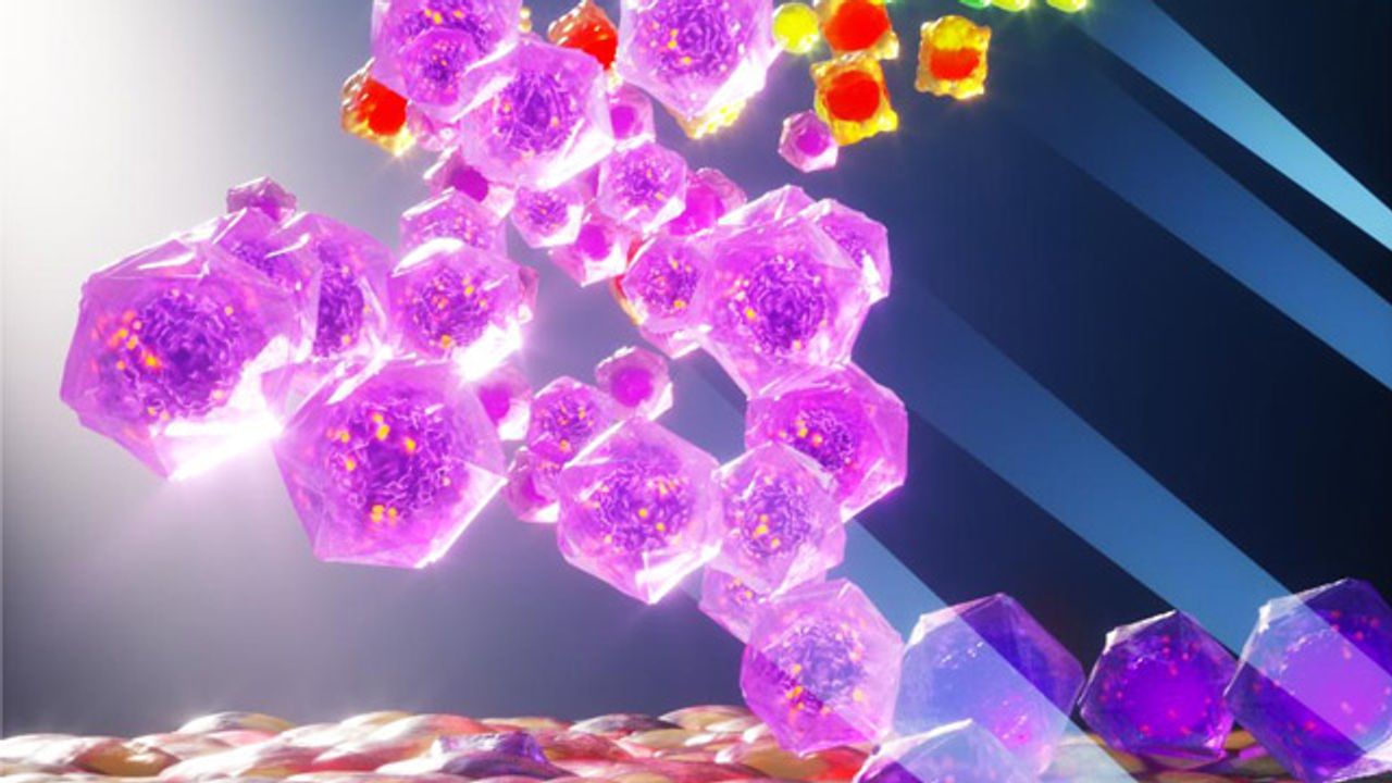 Differentiation Protocol Could Improve Stem Cell-Based Therapies for Macular Degeneration