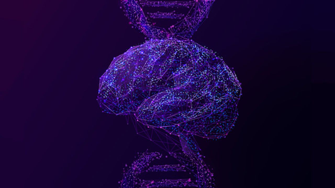 Dissecting the Complexity of the Brain at a Single Cell Level