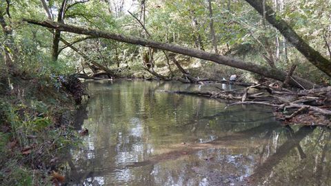If Microbes Don't Get the Metal They Need, the Environment May Suffer