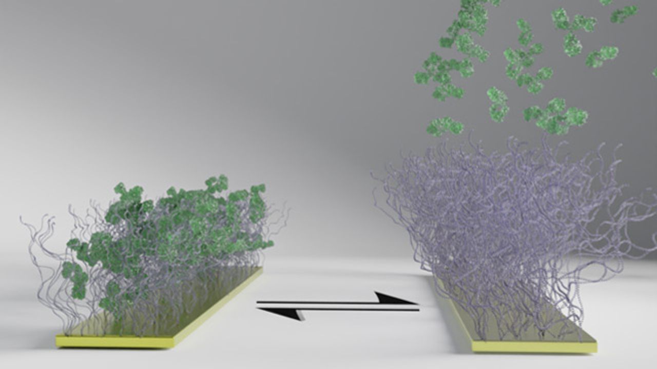 New Polymer Paves the Way For Remote-Controlled Medication and Electronic Pills