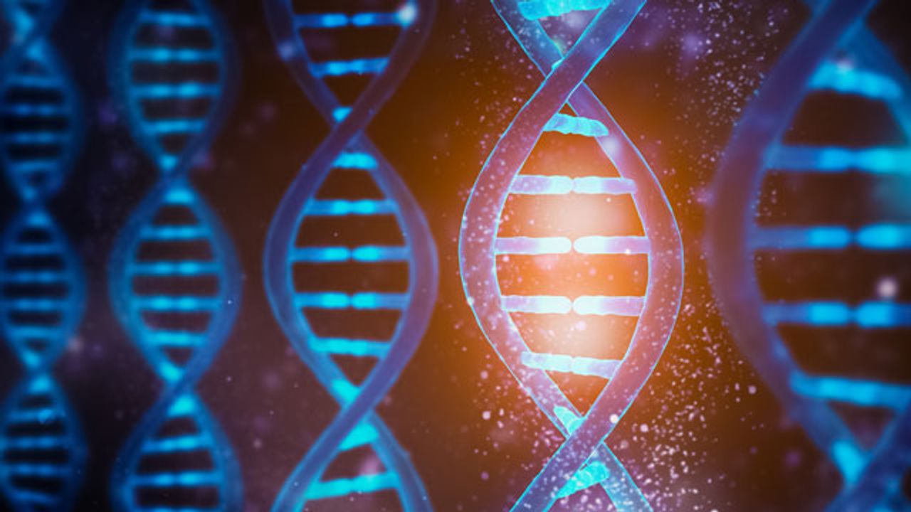 Interpreting Tumor “Signatures” May Lead to Better Treatments and Survival