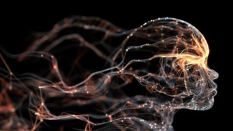 Simulated Neurons Show Learning Is Simpler Than You Think