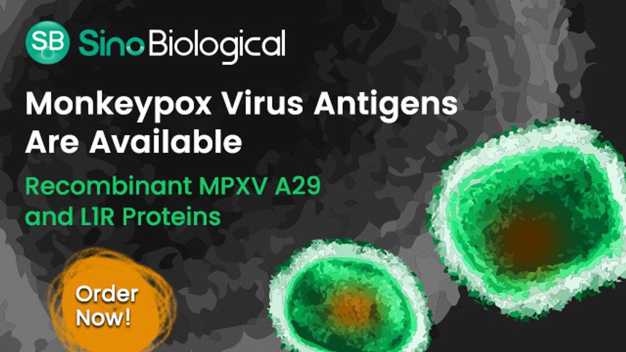 Recombinant Monkeypox Virus Antigens