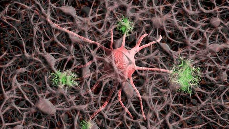 Tenascin Proteins Inhibit Regeneration of Cell Envelope content piece image