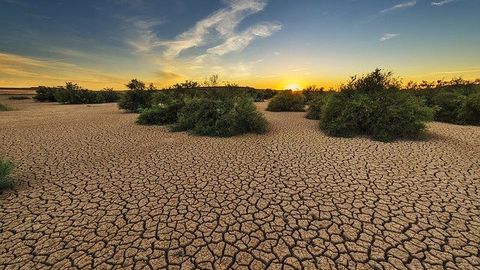 Microbial Community Carbon Cycle Explored in Biological Crusts