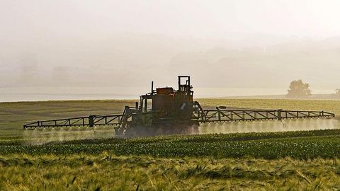 Simple Strategy Developed To Detect Organophosphorus Pesticide Residues