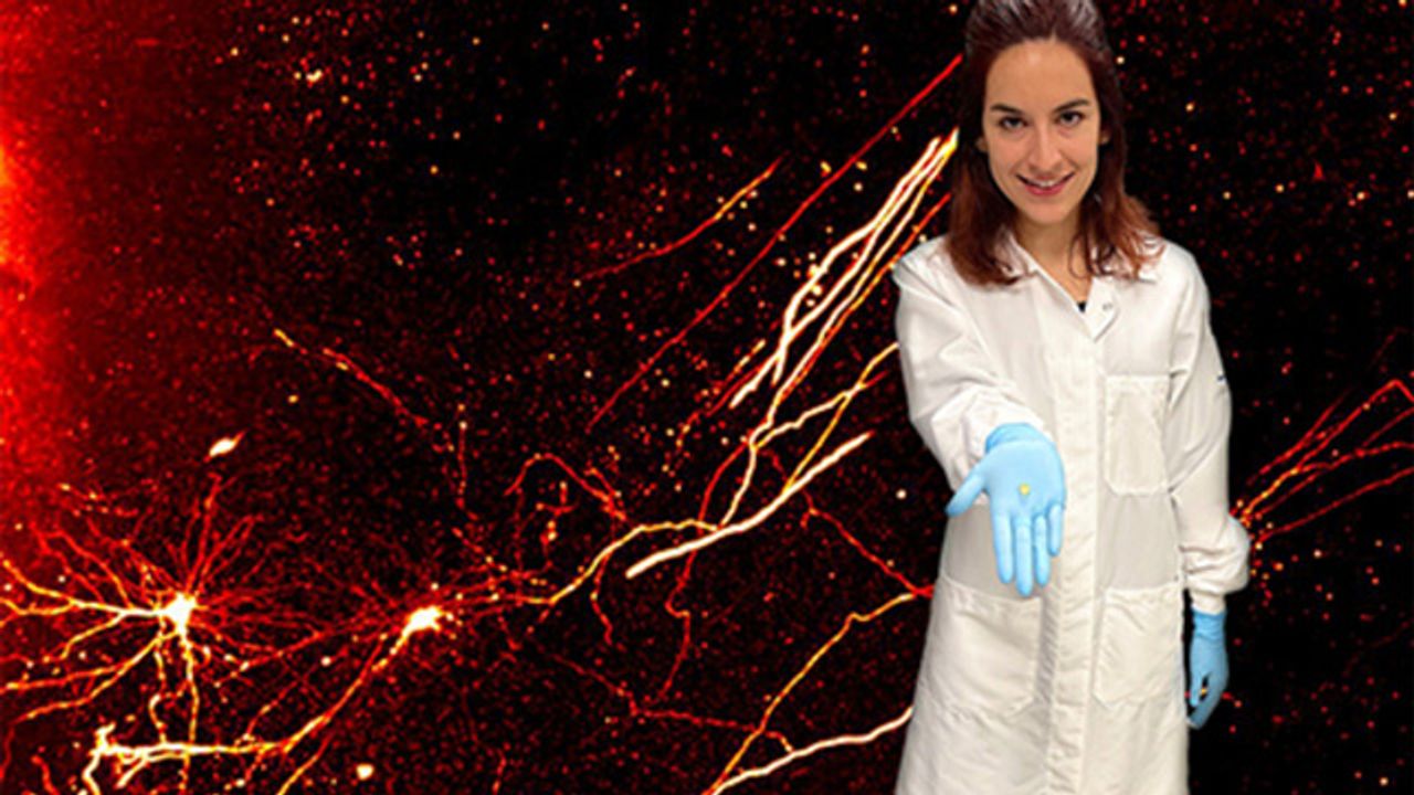 Connection Map Reveals Changes in the Injured Brain