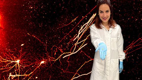 Connection Map Reveals Changes in the Injured Brain