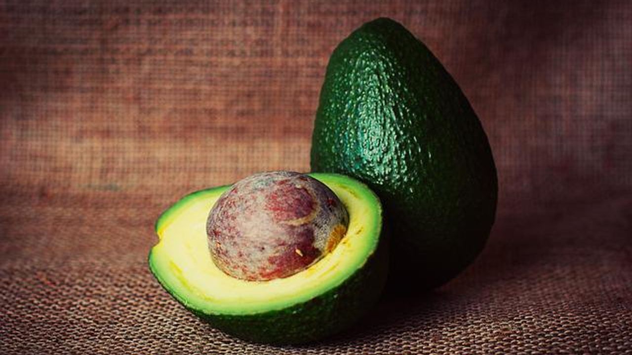 Plant-Based Antimicrobial Food Wrap Created That Could Replace Plastic