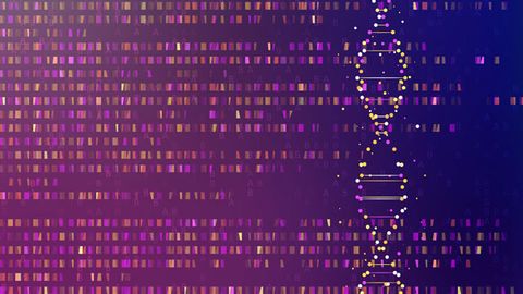 Computer Model Identifies Mutations That Drive Cancer Growth