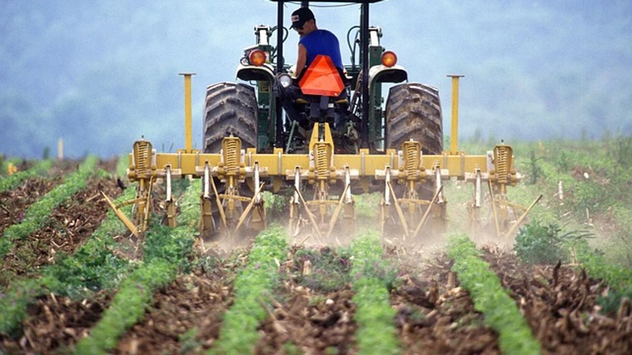 How To Store More Carbon in Soil During Climate Change