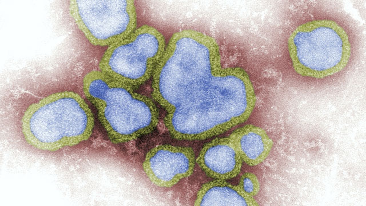Protein That Inhibits Influenza Replication May Hold the Key to New Antivirals