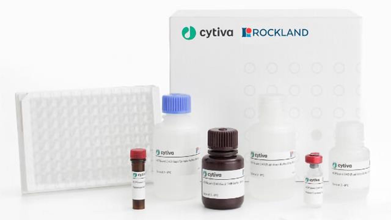 Amersham™ HCPQuant CHO HCP ELISA Kits