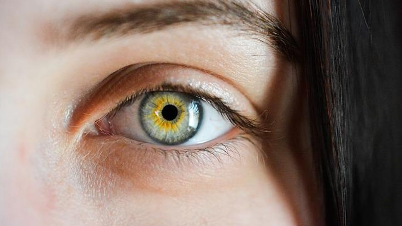 Eyes Are a Haven for Ebola and Other Viruses