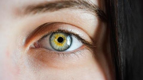 Eyes Are a Haven for Ebola and Other Viruses