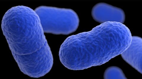 Is the Answer To Disarm Resistant Bacteria Rather Than Kill Them?