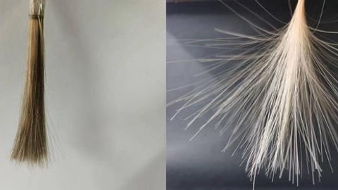 Chemistry Gives Wigs a Helping Hand