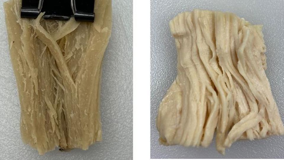 Less Protein Obtained by Our Cells From a Plant-Based Meat Than From Chicken content piece image