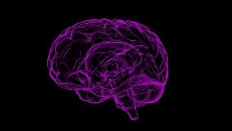 ALS May Be Linked to Both the Immune and Nervous Systems