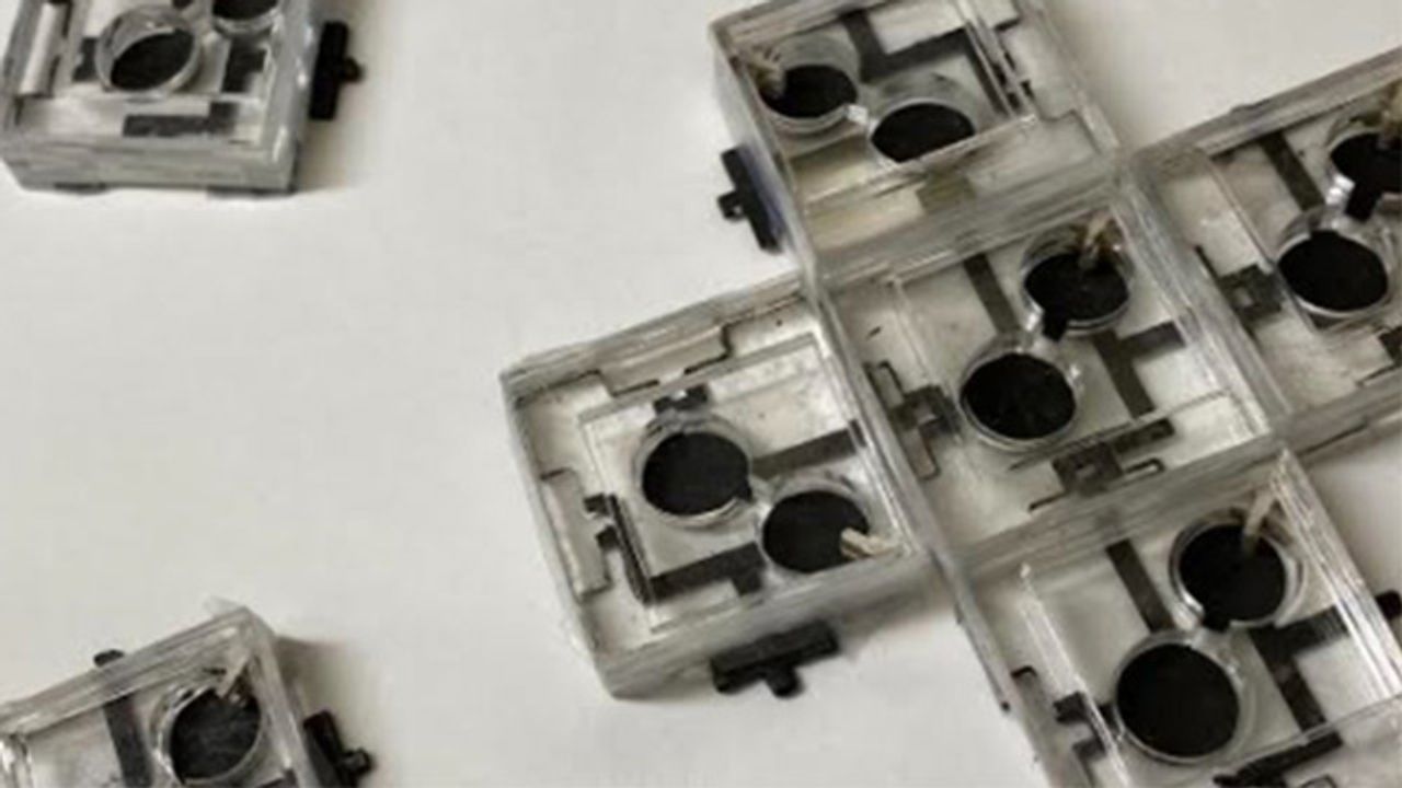 Bacterial Interactions Generate Power for Weeks in Novel Biobatteries