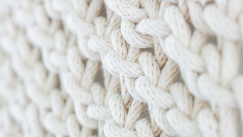 The Brain Circuit Behind Itchy Sweaters Identified