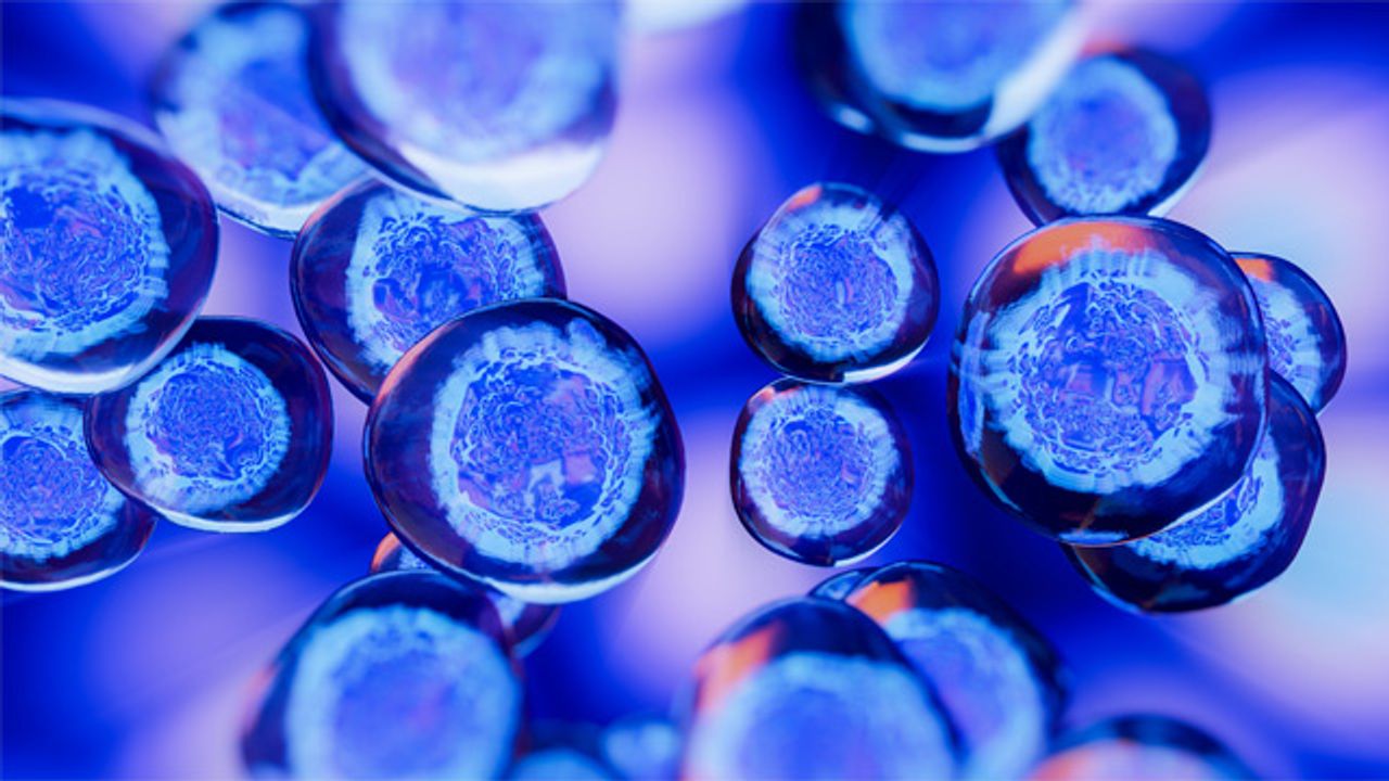 Clinical Applications of Cell Therapy