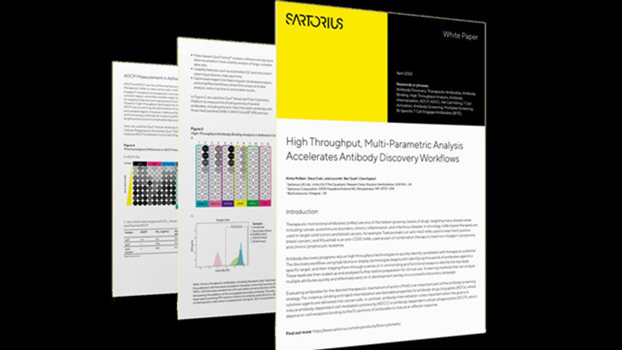High-Throughput, Multi-Parametric Analysis Accelerates Antibody Discovery Workflows