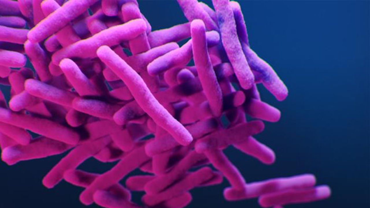 TB Infections Are Rising Among Tanzania's Young People